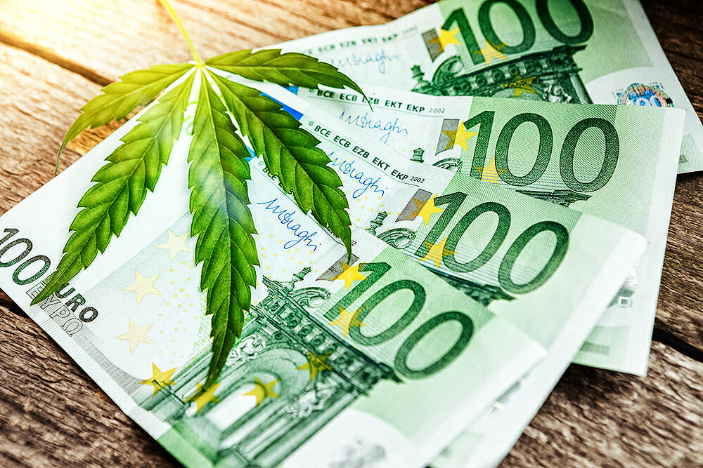 Rohstoff Cannabis - wie mit Hanf legal Millionen verdient werden